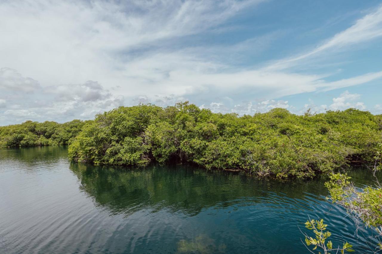 Yaxchen Tulum Cabanas & Cenote Exterior foto